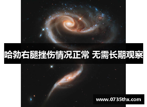 哈勃右腿挫伤情况正常 无需长期观察